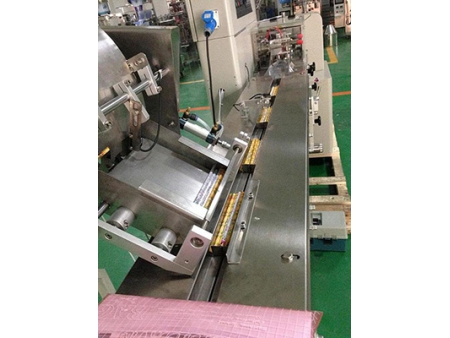HP-250X Flow Pack Wrapping Machine