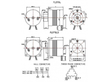 57mm Brushless Motor