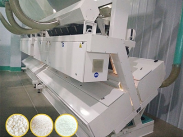 Maize Flour Milling Plant with Pneumatic Roller Mill
