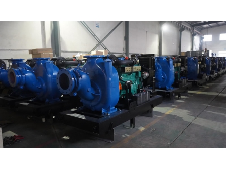 Diesel Engine Dewatering Pumps for an African Client