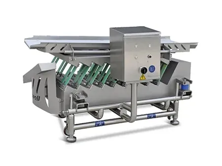 Food Conveyor