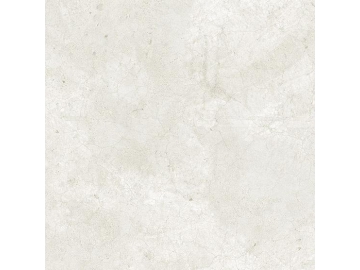 Evanka Series Porcelain Tile