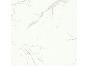 Snow White Marble Tile