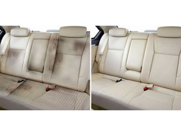 Steam Cleaner for Car