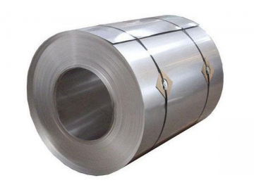 Cold Rolled 304 Stainless Steel Coil