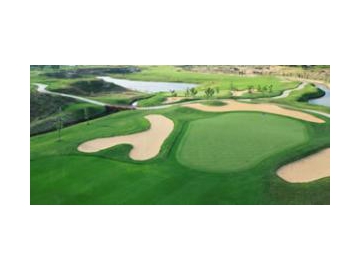 PP6600 Cricket Artificial Turf