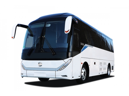 6909H Coach (Spring)