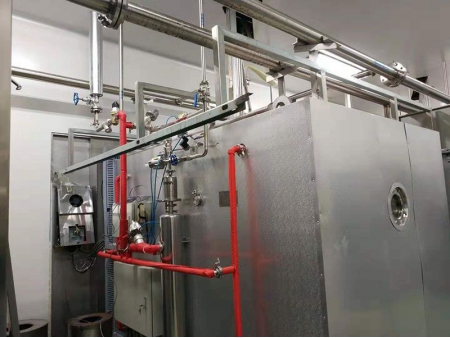 Pulsed Vacuum Dryer