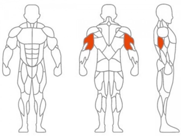 Lat Pulldown