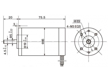 45ZYN75 Rare Earth Permanent Magnet DC Motor