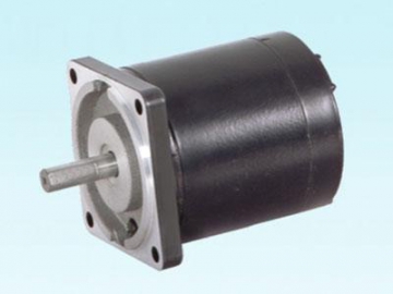 60ZY75 Permanent Magnet DC Motor