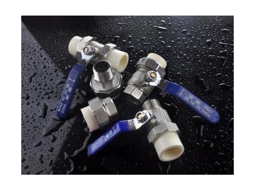 Polybutylene PB Pipe Fittings