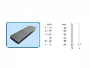 Wide Crown Staples