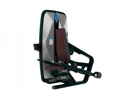 TZ-9050	Triceps Dip Machine