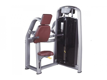 TZ-6050	Triceps Dip Machine