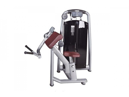 TZ-6046 Biceps Machine