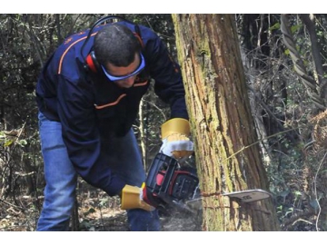 61.5cc 2400W 20-inch Gas Chainsaw