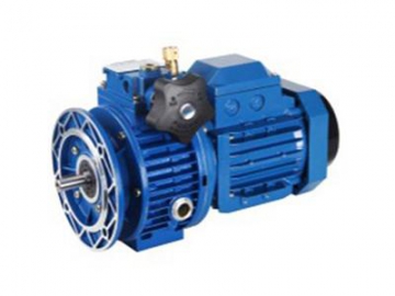 Mechanical Variable Speed Reducer
