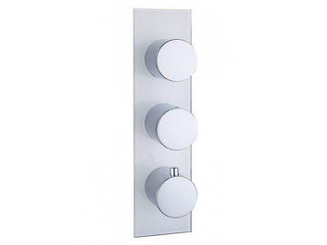 Wall Mount Thermostatic Concealed Shower Valve