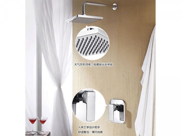 Concealed Shower Mixer, FB6339