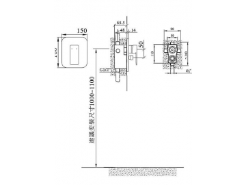 Concealed Shower Mixer, FB6336B