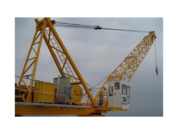 WQ160 Luffing Jib Crane