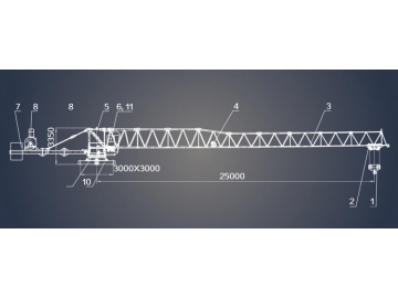 JST80 Curtain Wall Lifting Crane