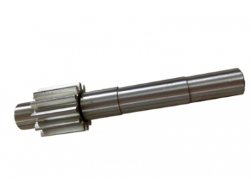 Precision Gear Shaft