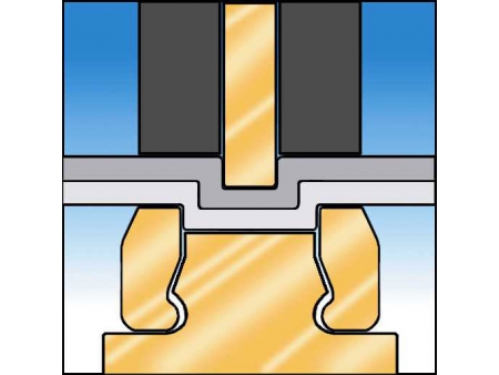 Servo-Driven Clinching Gun, ZM6-080-C2XXXX