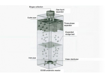 EGSB Anaerobic Reactor (Expanded Granular Sludge Bed Reactor)