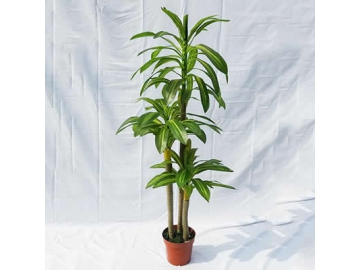 Artificial Plant and Bonsai Tree
