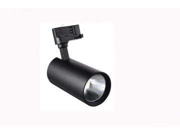 H2 Series LED Track Lighting Head with Straight Tube and Built-in Driver