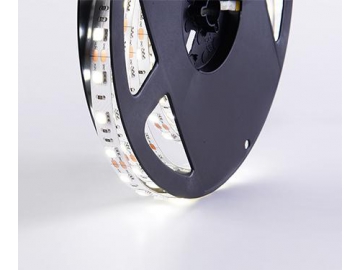 D560 12V 10mm  Decorative LED Light Strip