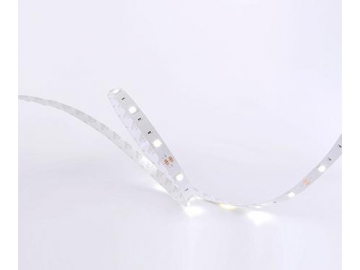 D530 12V 10mm  Home Decorative LED Strip Light