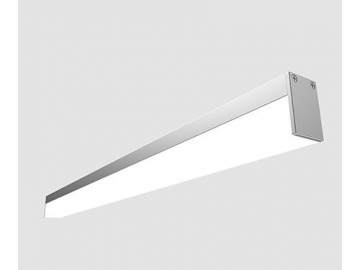 LS1911P(B)  Furniture LED Lighting Fixture