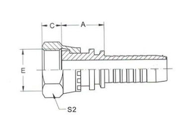 22211 BSP Female Flat Seat Fittings