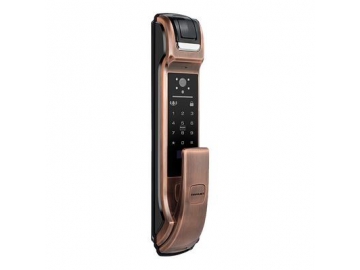 108 Face Unlock Smart door Lock