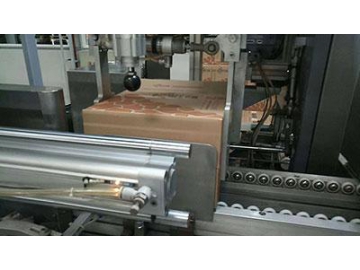 Piston Filling and Packing Line