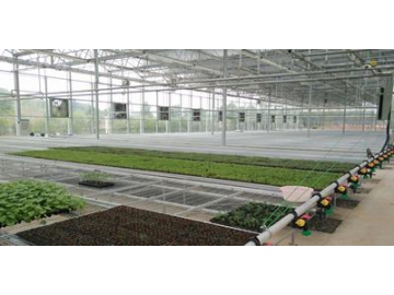 Agricultural Ventilation and Cooling