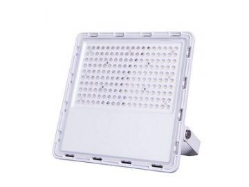 LED Flood Light，Item CET-109 LED