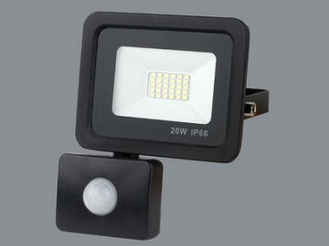 LED Flood Light, Item CET-115 LED