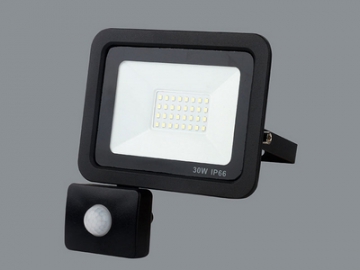 LED Flood Light, Item CET-115 LED