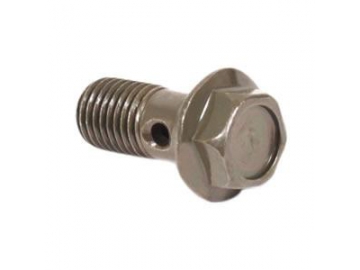 Banjo / Hollow Bolt