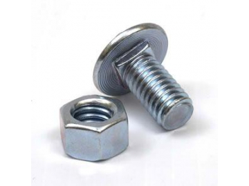 Carriage Bolt