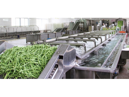 Fruit & Vegetable Processing Line