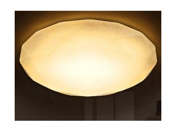Flush Mount Ceiling LED Light, Item SC-H101E Indoor Lighting