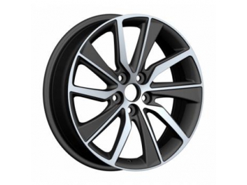 Honda Elysion Rim