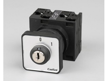 Rotary Cam Switches  Manufacturer Since 1981