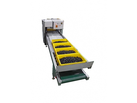 Automatic Nut/Rivet Optical Sorting Machine