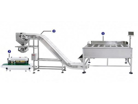 Semi-Automatic Packing Line (manual operation)